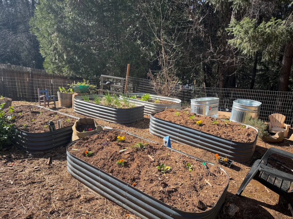 garden box planting bed installation